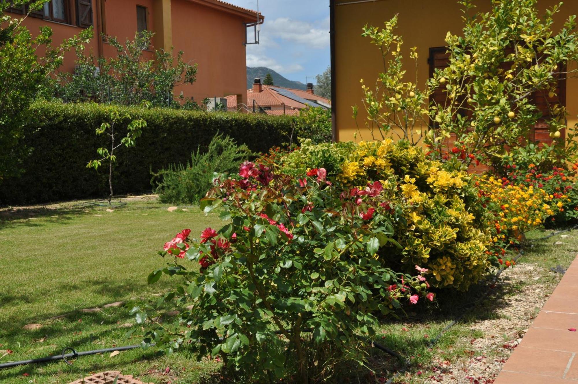B&B Gassa D'Amante Capoterra Eksteriør bilde